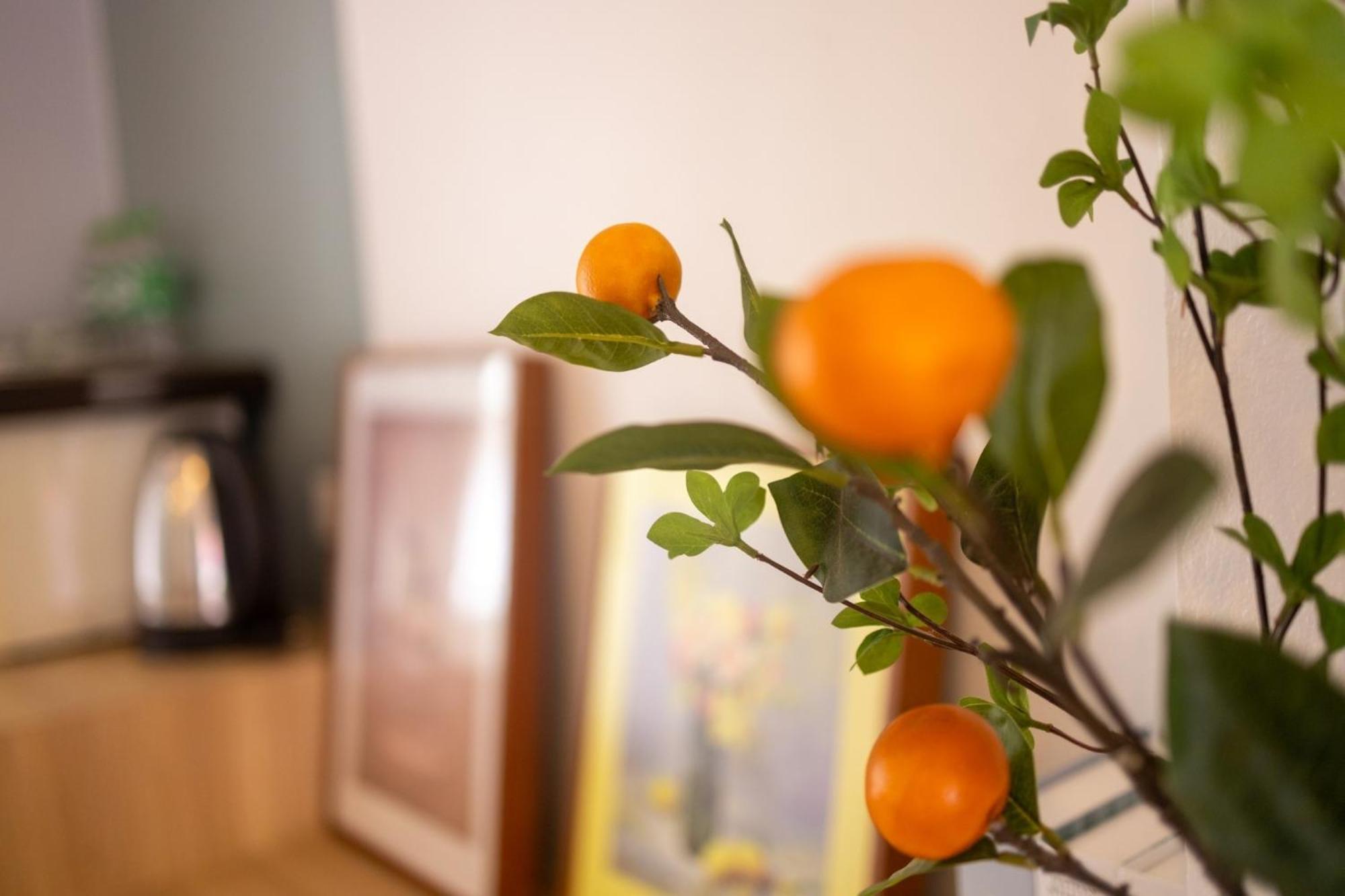 Baan Sinkaew Apartment Chiangmai - บ้านสินแก้ว อพาร์ทเม้นท์ เชียงใหม่ Buitenkant foto